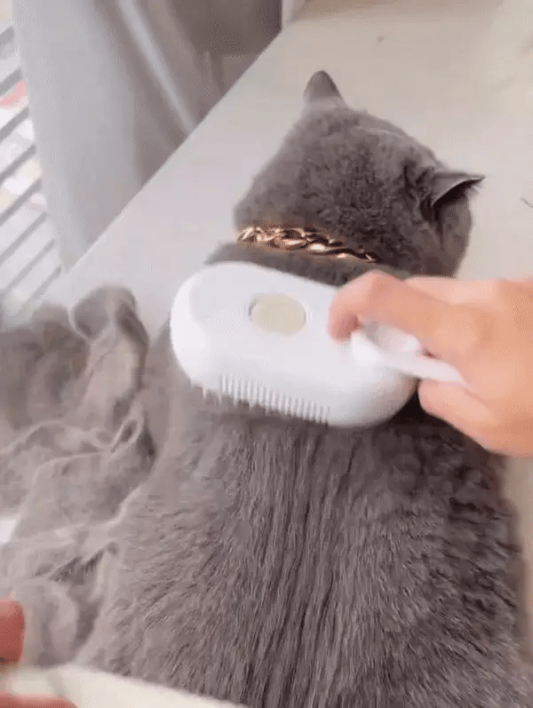 Cat & Dog Steamy Brush - La Spazzola a Vapore per una Cura Completa del Pelo